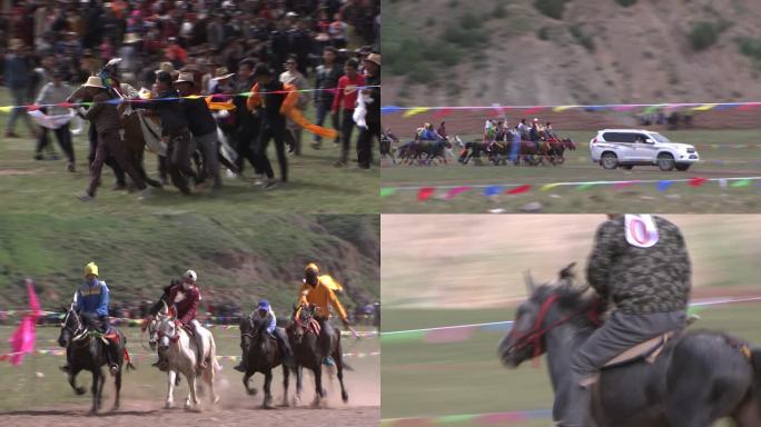 青海西藏 文化 玉树 赛马