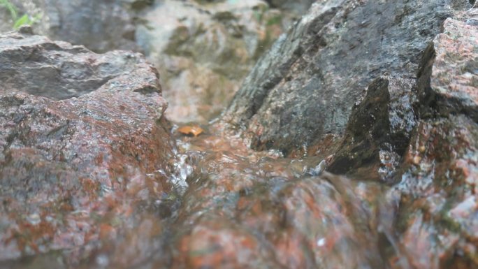 天然山泉水  泉水叮咚  溪流升格