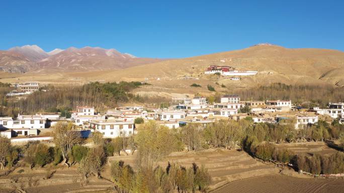 美好农村生活 新藏线 公路 交通运输