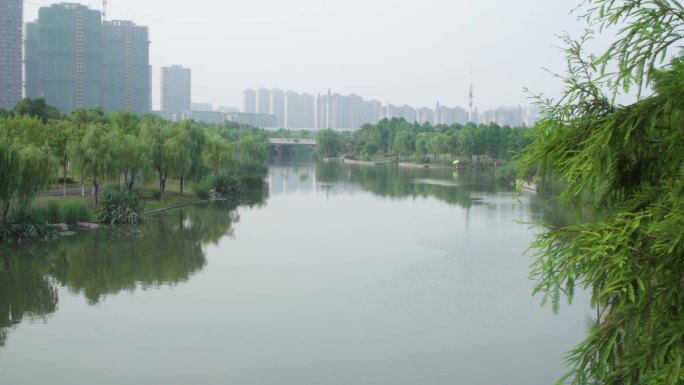 城市河道水系生态河流绿化水利建设青山绿水
