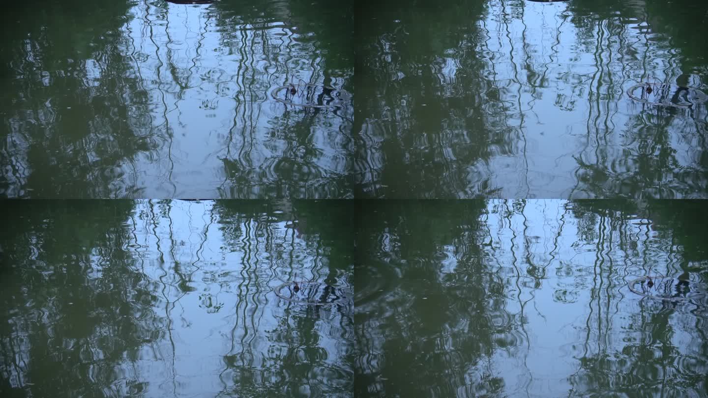 碧绿的池塘里映着竹子的倒影