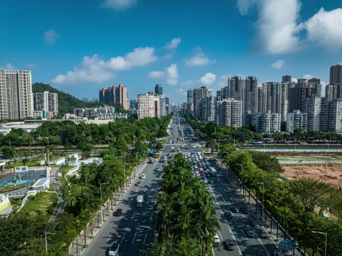 城市车流延时空镜