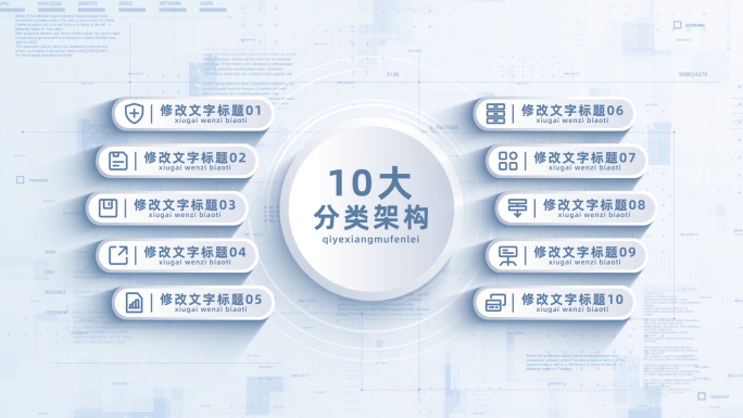 （10）白色简洁项目信息分类