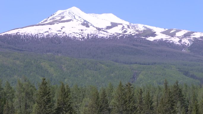 高山密林