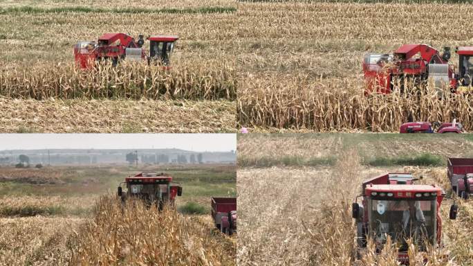 航拍 收玉米 收割 农业机械化 丰收