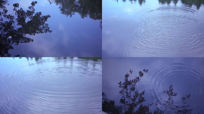 倒影 自然 水面 湖面水光 涟漪