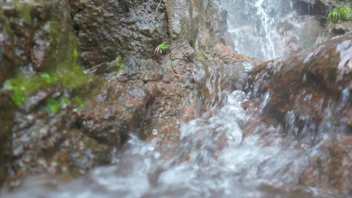 天然山泉水  泉水叮咚  溪流升格