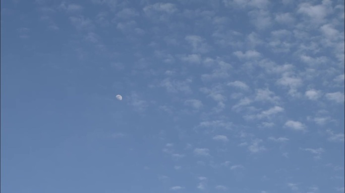 月亮 云朵 蓝天 白云 鱼鳞云