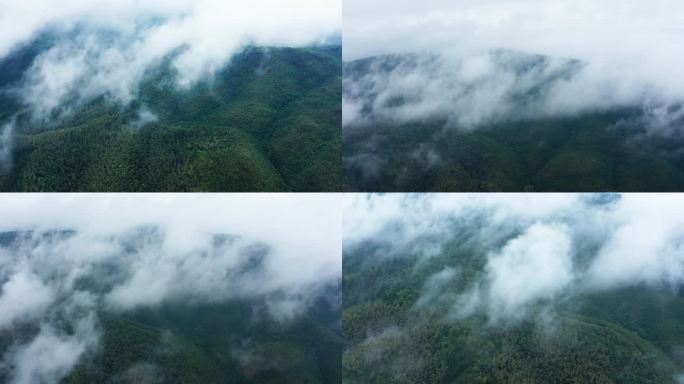 山脉森林云雾缭绕