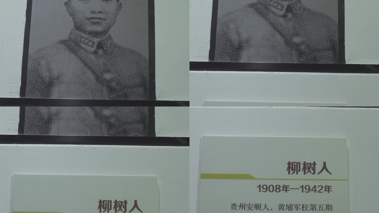 抗战英雄中国远征军柳树人纪念照片介绍