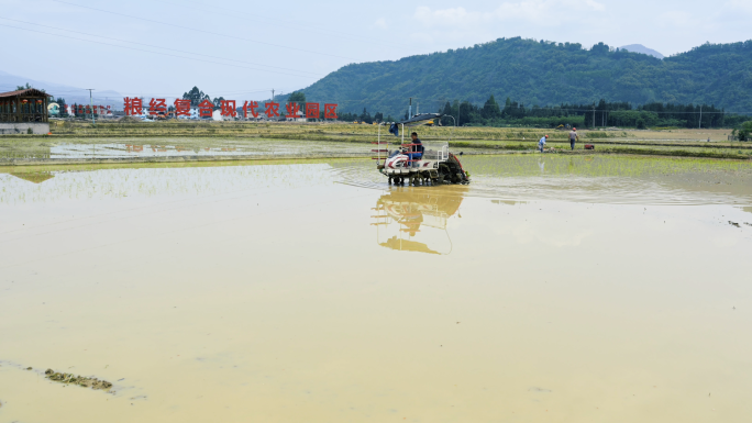 春耕生产插秧机作业乡村振兴农田播种水稻