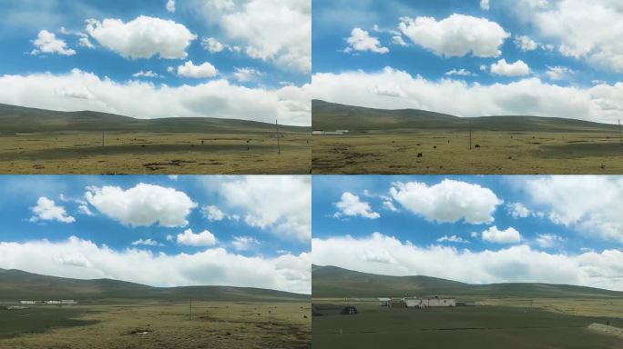 西藏 拉萨 草原 蓝天 白云 牛羊 火车