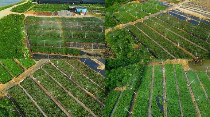 农业灌溉节水灌溉