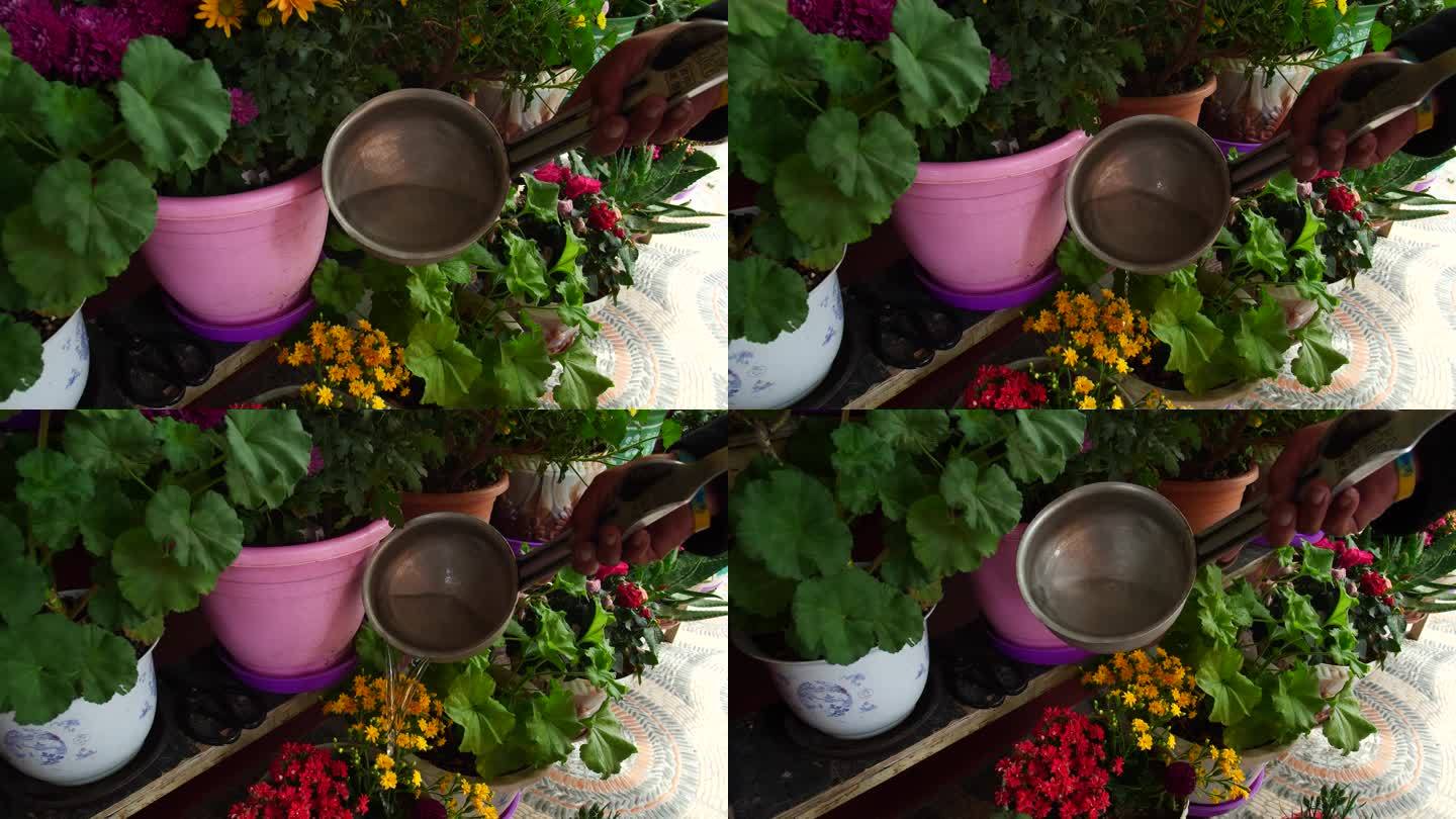 安逸生活 舀水 瓢 提桶浇花