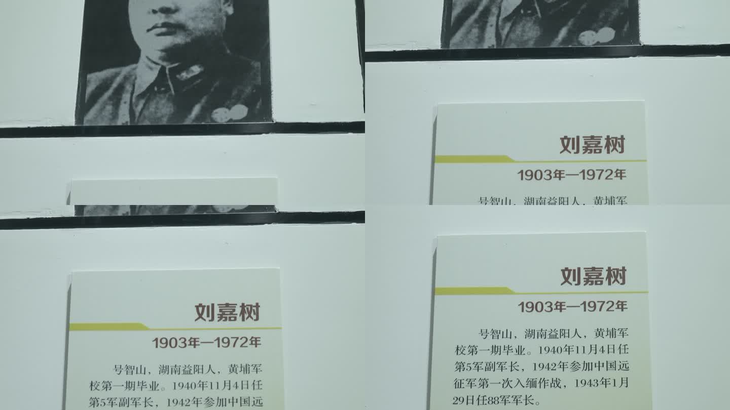 抗战英雄中国远征军刘嘉树纪念照片介绍
