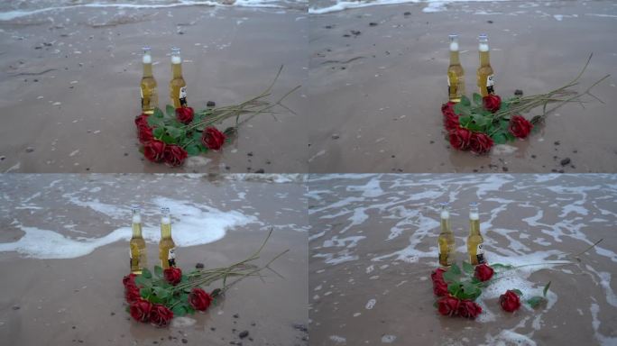 海边玫瑰花C0281
