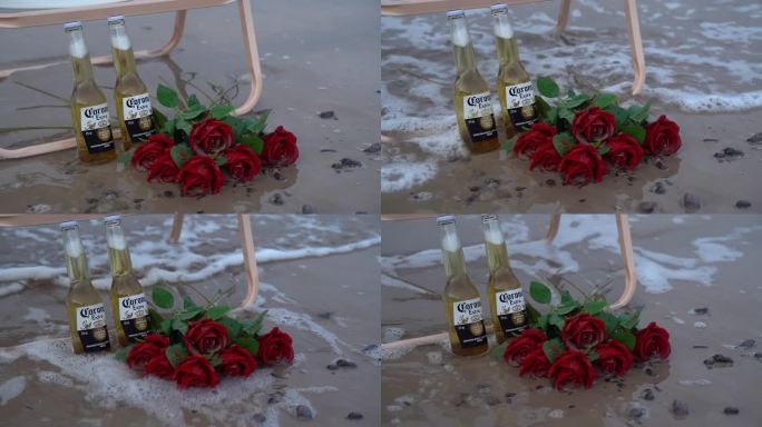 海边玫瑰花C0294