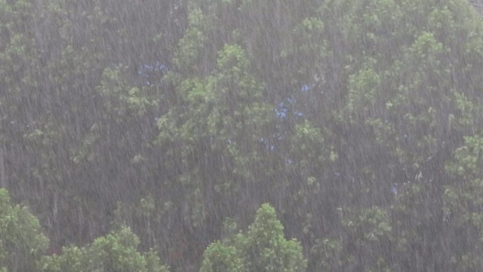 4K狂风暴雨大雨下雨强降水风雨交加