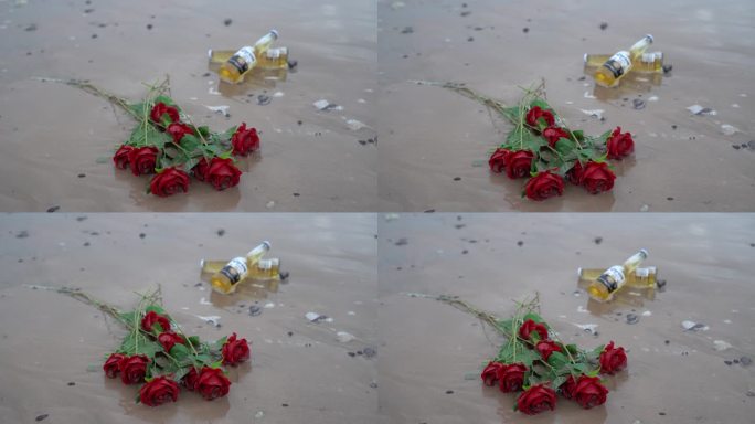 海边玫瑰花C0274