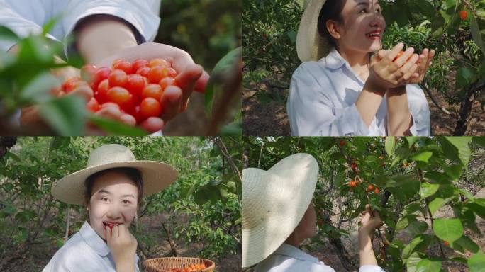 采摘和品尝成熟樱桃的农家姑娘
