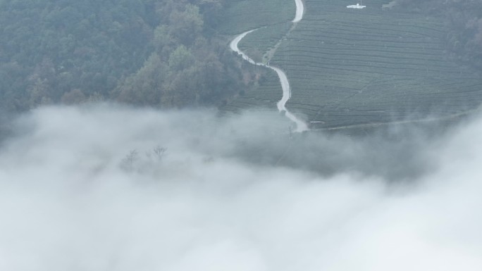 航拍江南浙江高山云雾茶山道路绍兴诸暨陈宅