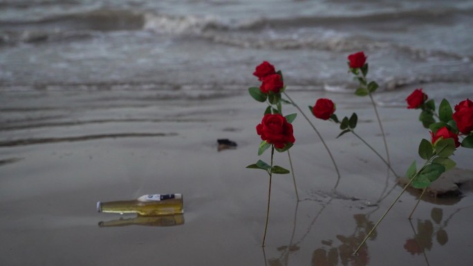 海边玫瑰花C0167
