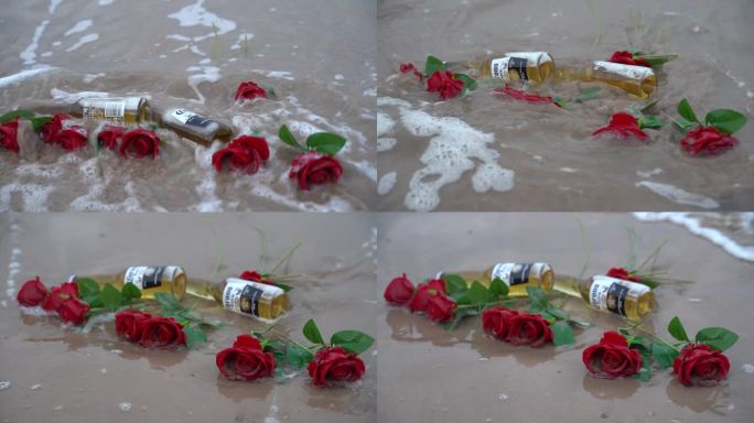 海边玫瑰花C0278