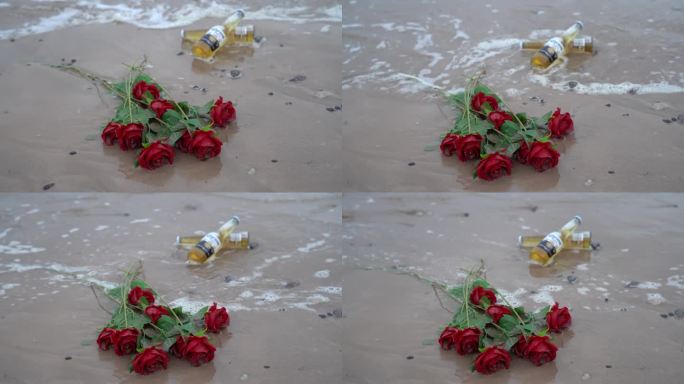 海边玫瑰花C0273