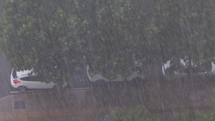 4K狂风暴雨大雨下雨强降水风雨交加