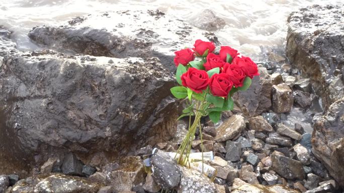 海边玫瑰花C0261