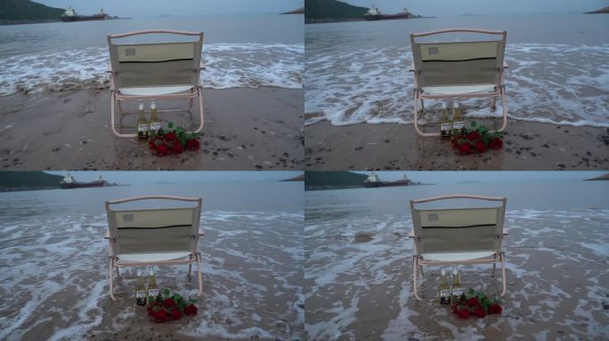 海边玫瑰花C0288