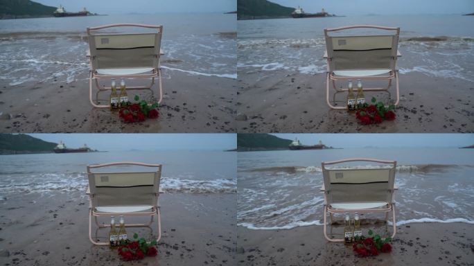 海边玫瑰花C0286