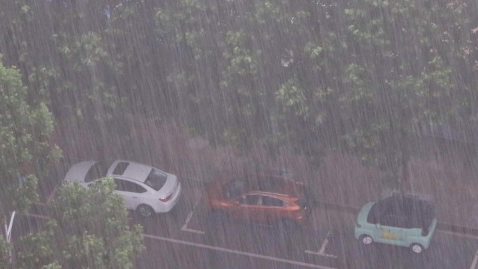 4K狂风暴雨大雨下雨强降水风雨交加