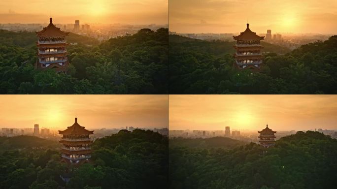 航拍夕阳下的广州鸿鹄楼