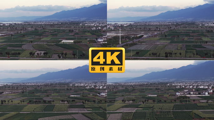 4K-大理农田航拍，农田耕地，农业示范区