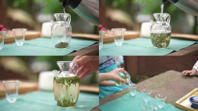 泡绿茶 雪芽 过程