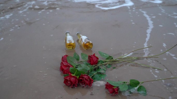 海边玫瑰花C0282