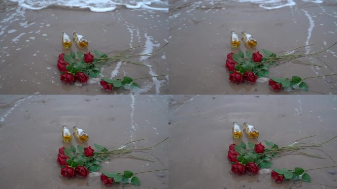 海边玫瑰花C0282