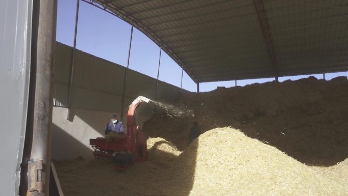 干草饲料 养殖场原料 养殖场打 草打草机