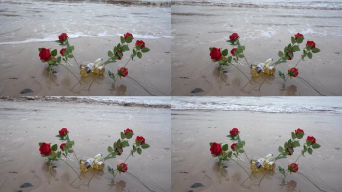 海边玫瑰花C0266