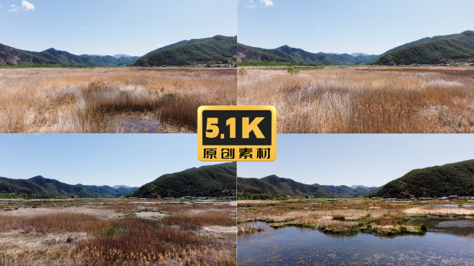 5K-泸沽湖草海航拍，干涸的生态湿地
