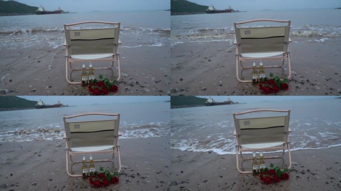海边玫瑰花C0287