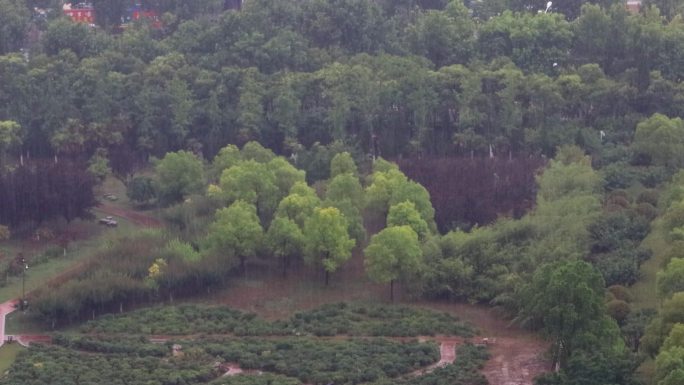 4K狂风暴雨大雨下雨强降水风雨交加