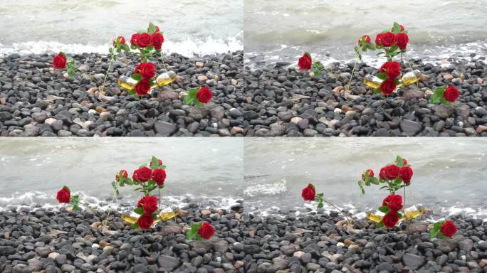 海边玫瑰花C0175