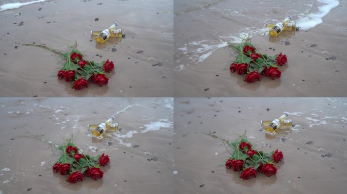 海边玫瑰花C0272