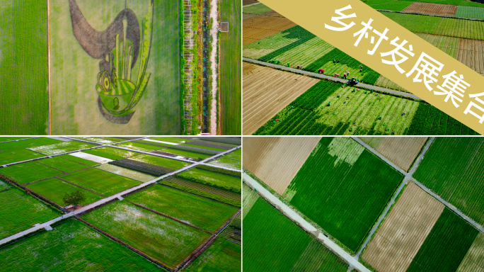 现代农业蔬菜水稻种植芒种小满乡村振兴丰收