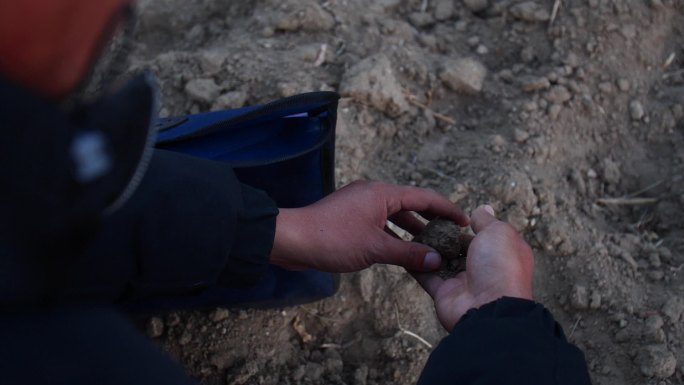 土壤改良 土壤微生物 土壤板结 土质破坏