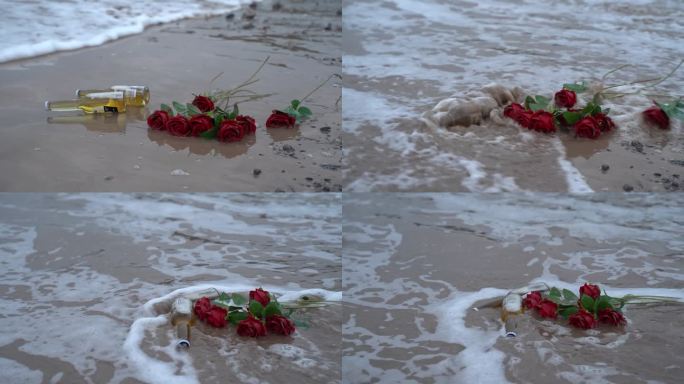 海边玫瑰花C0284