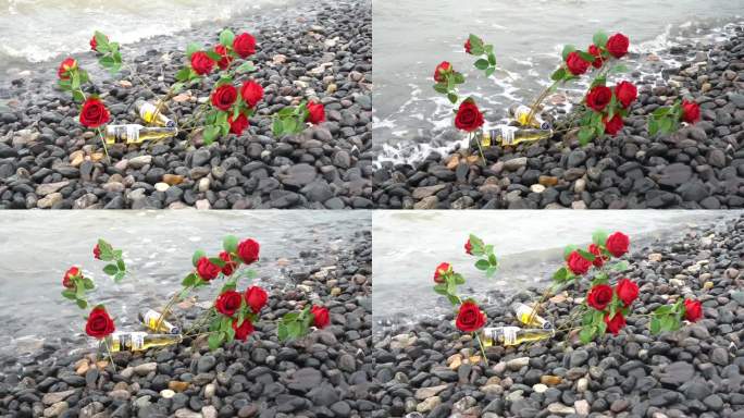 海边玫瑰花C0178