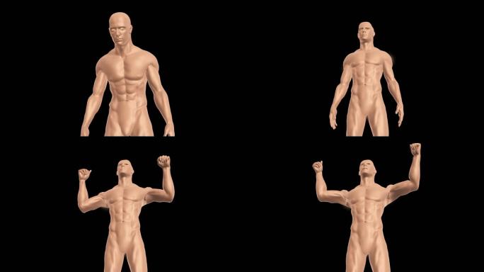 人体康复3D动画